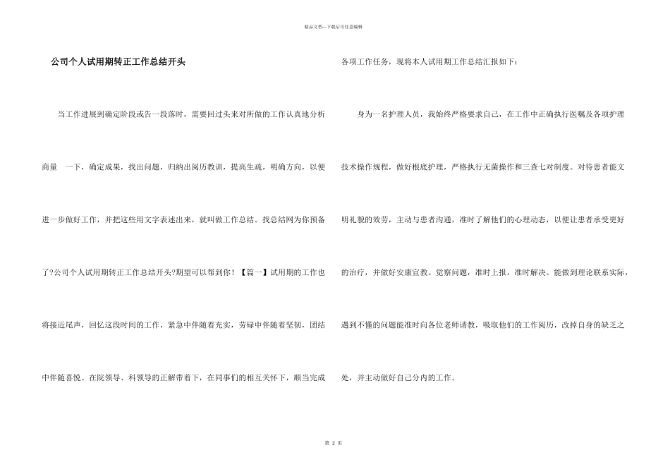 公司个人试用期转正工作总结开头_第1页