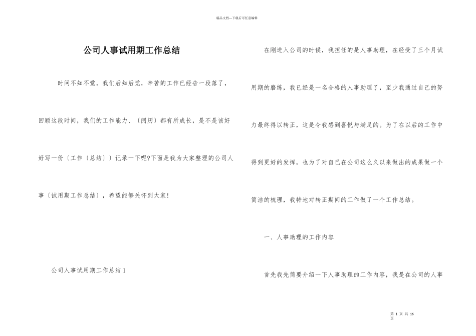 公司人事试用期工作总结_第1页