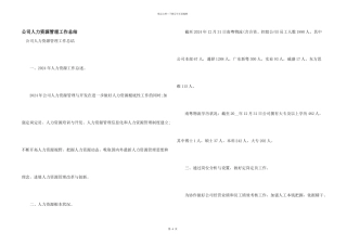 公司人力资源管理工作总结