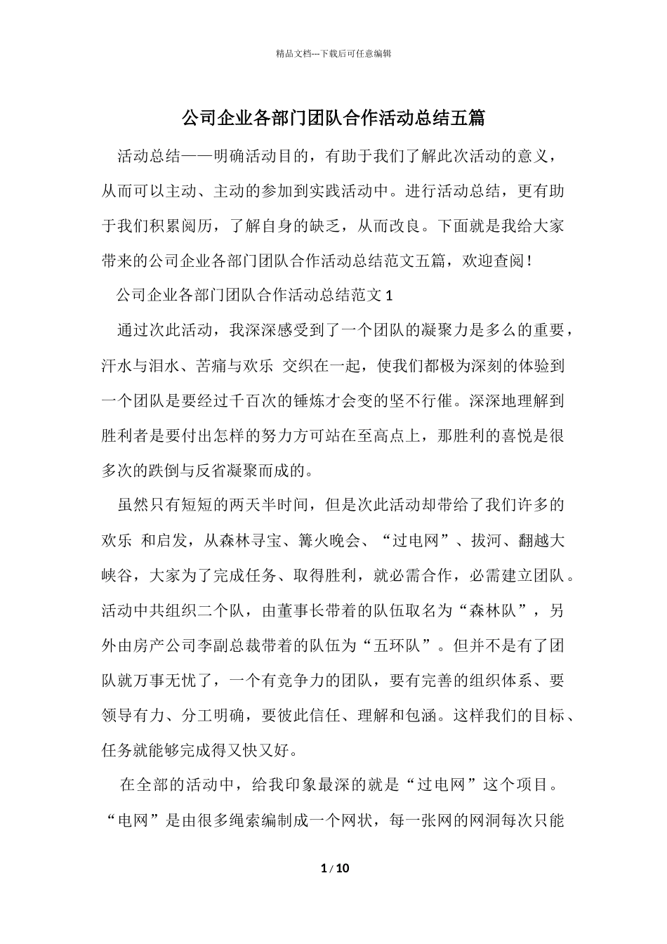公司企业各部门团队合作活动总结五篇_第1页