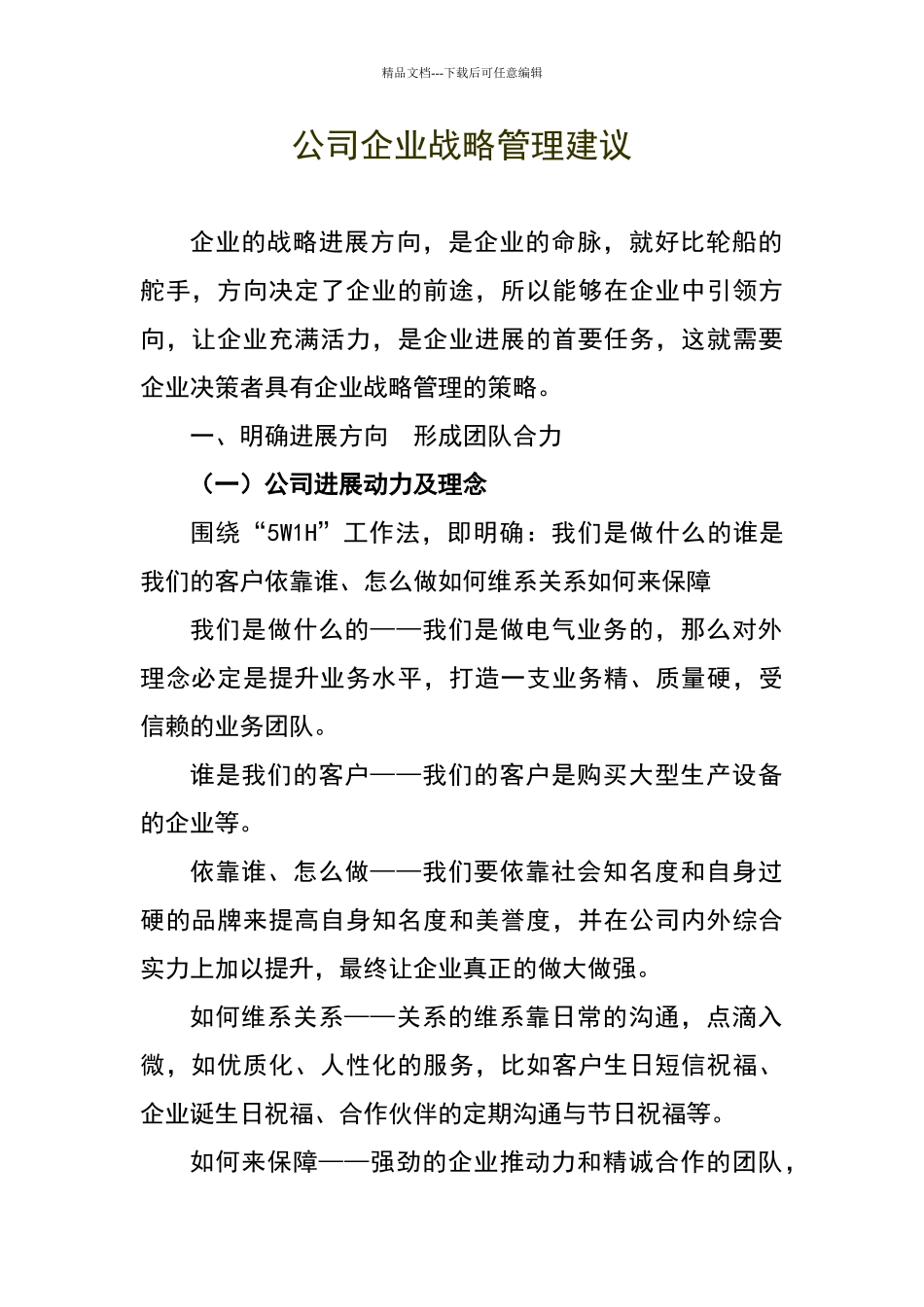 公司企业战略管理建议_第1页