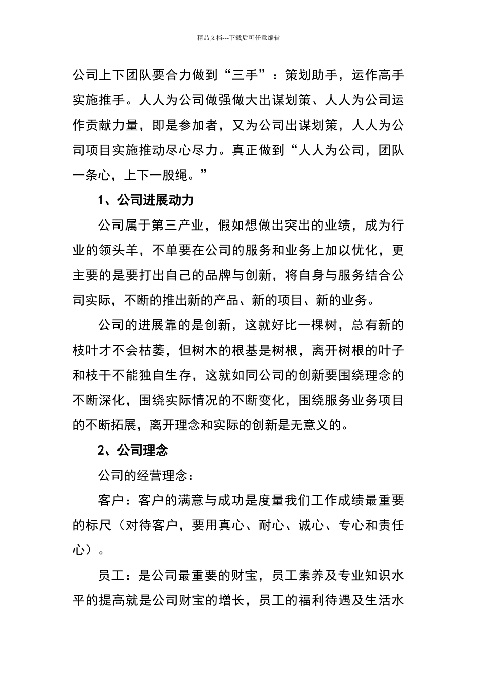 公司企业战略管理建议_第2页