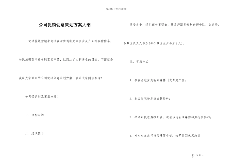 公司促销创意策划方案大纲_第1页