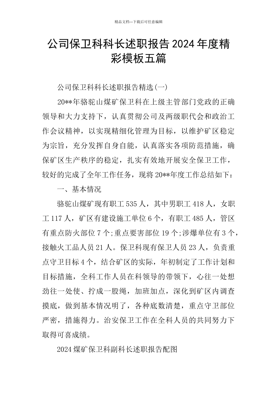 公司保卫科科长述职报告2024年度精彩模板五篇_第1页