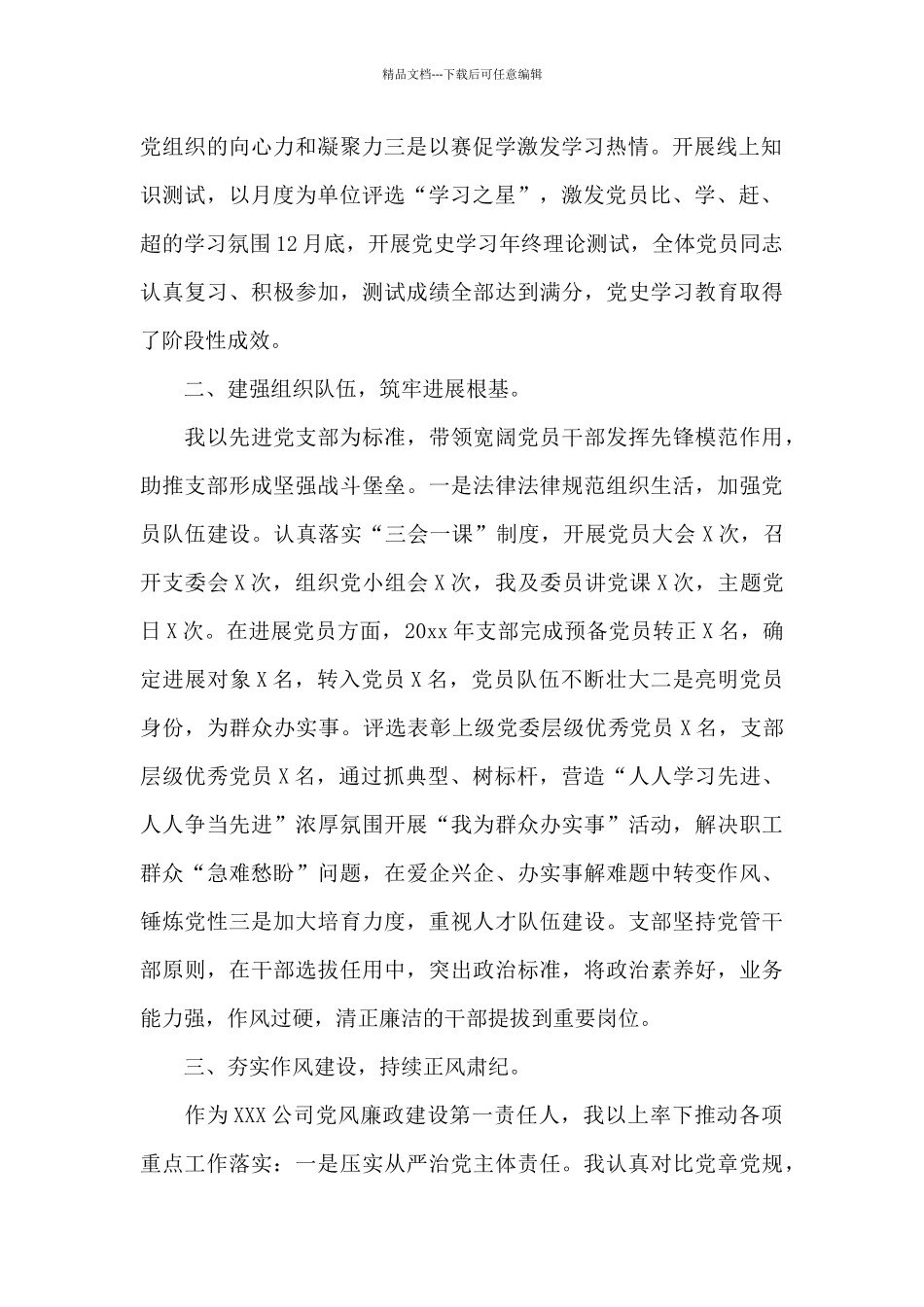 公司党支部书记2024年抓党建工作述职报告模板_第2页