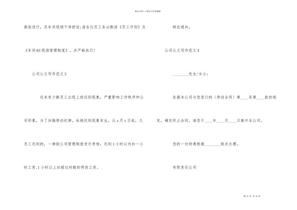 公司公文写作_第3页