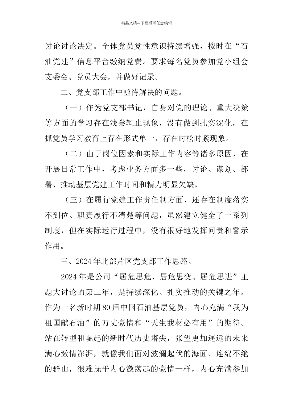 公司党支部书记年度述职报告_第3页