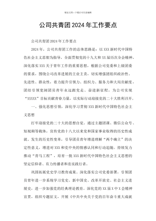 公司共青团2024年工作要点