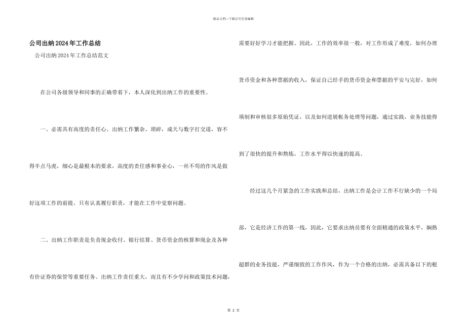 公司出纳2024年工作总结_第1页