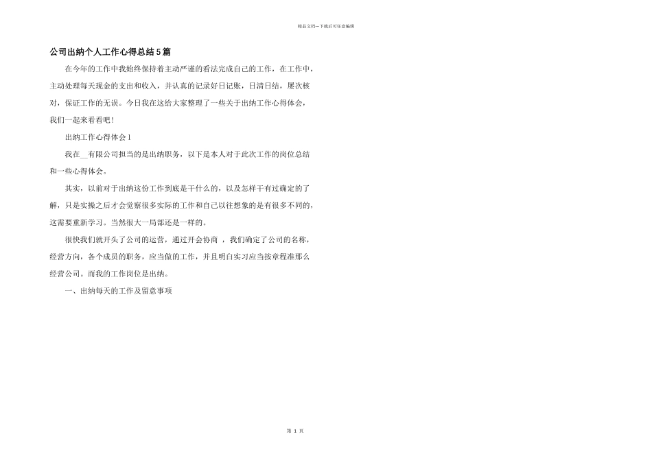 公司出纳个人工作心得总结5篇_第1页
