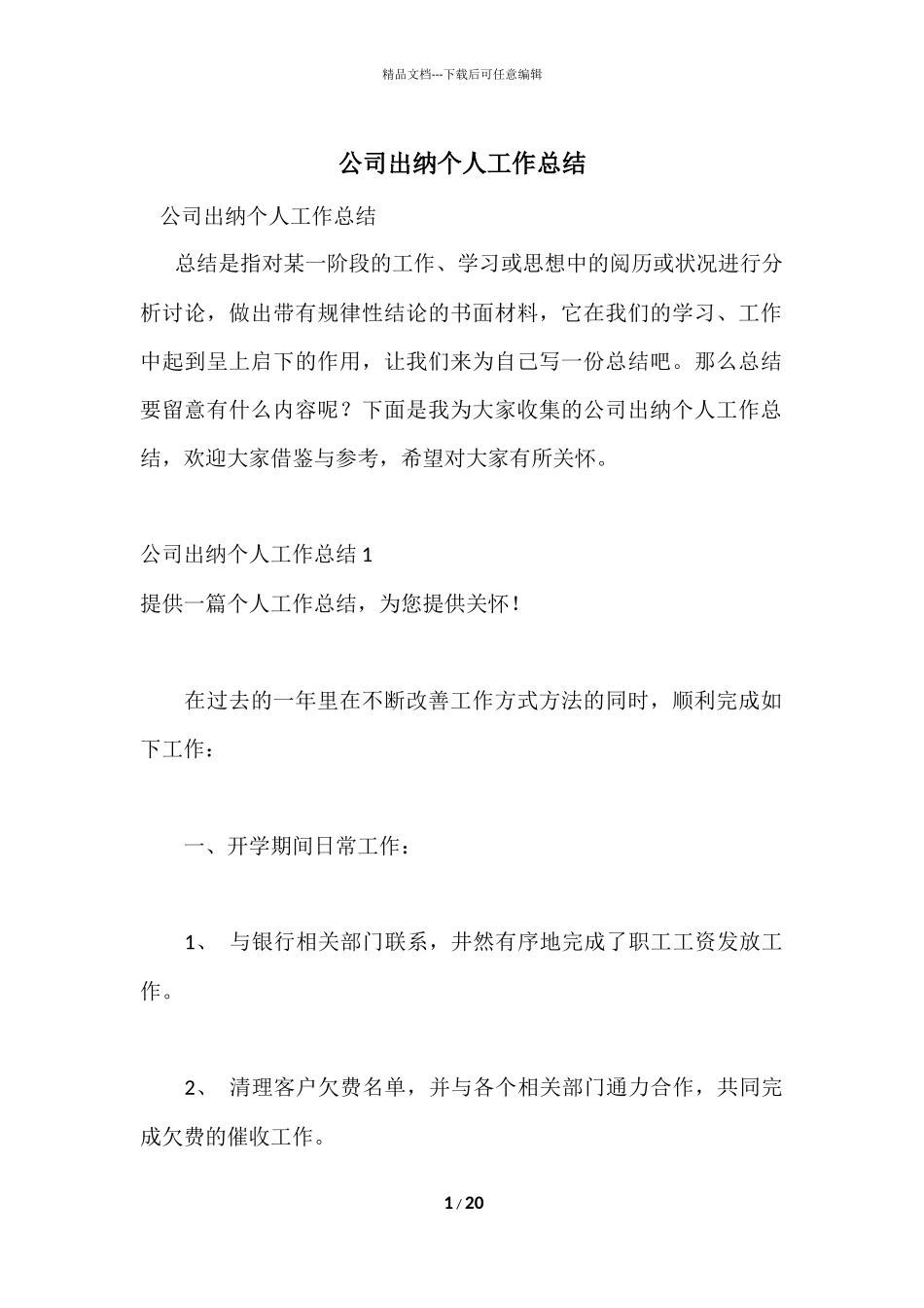 公司出纳个人工作总结_第1页