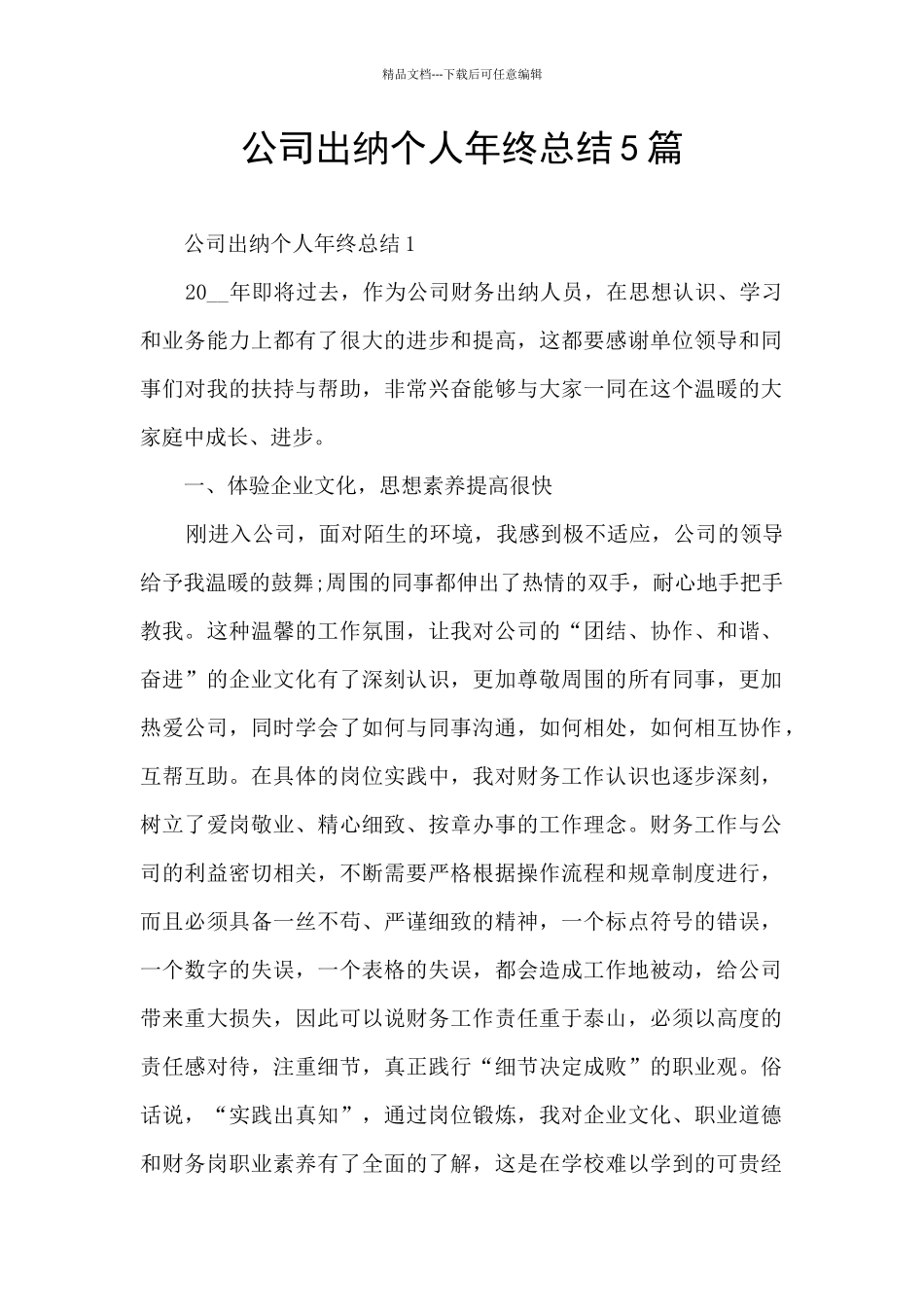 公司出纳个人年终总结5篇_第1页