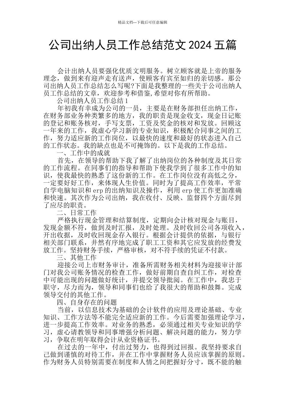 公司出纳人员工作总结范文2024五篇_第1页