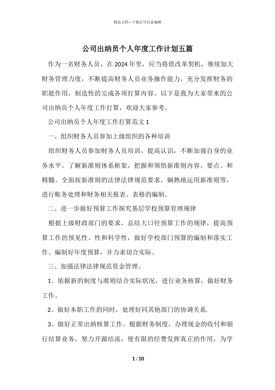 公司出纳员个人年度工作计划五篇_第1页