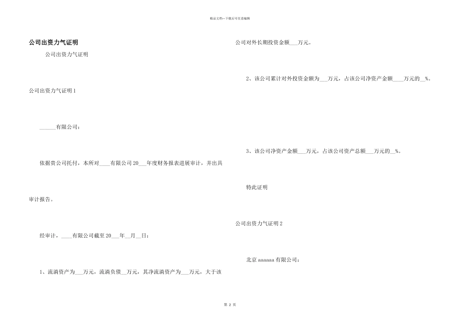 公司出资能力证明_第1页