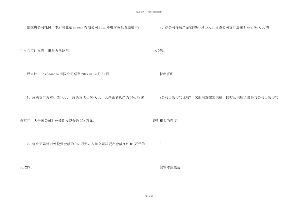 公司出资能力证明_第2页