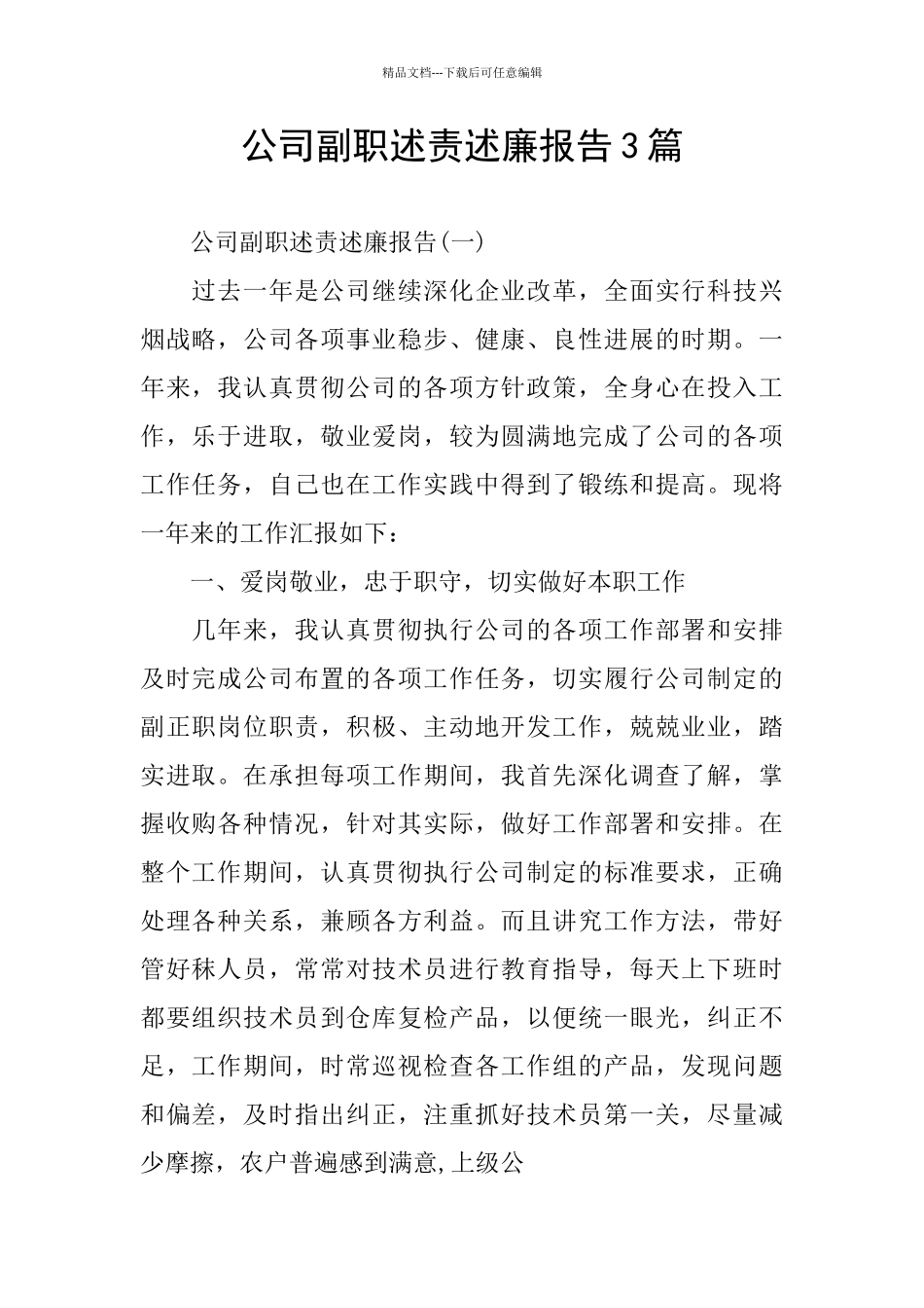 公司副职述责述廉报告3篇_第1页