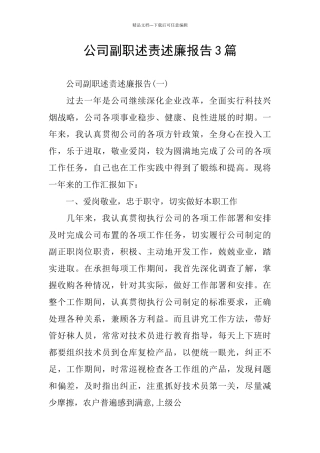 公司副职述责述廉报告3篇