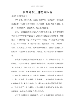 公司升职工作总结5篇