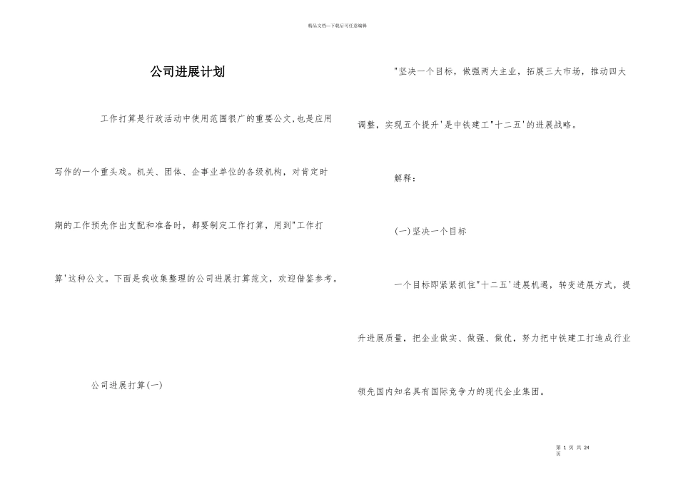 公司发展计划_第1页