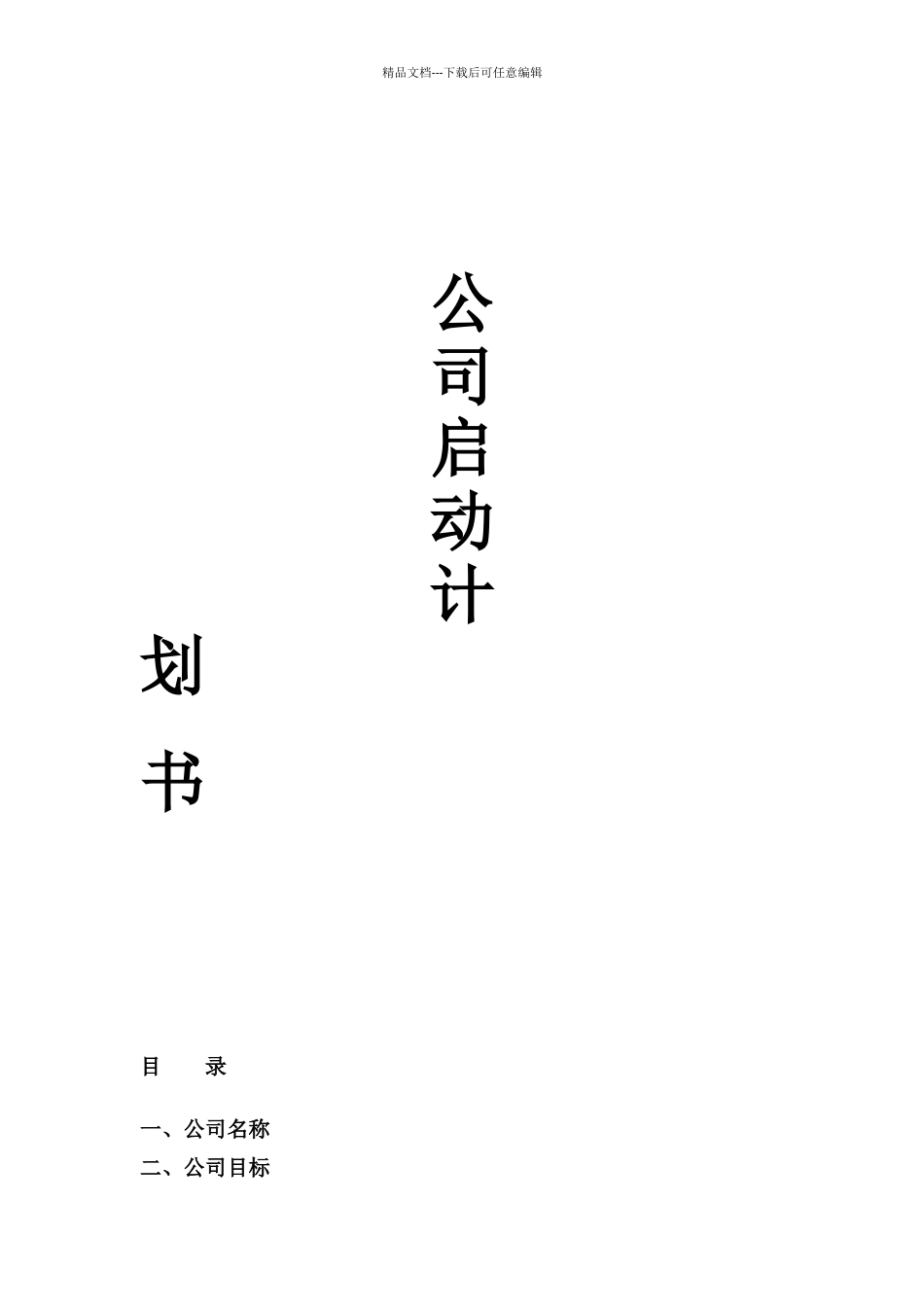 公司启动计划书20240130_第1页
