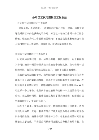 公司员工试用期转正工作总结