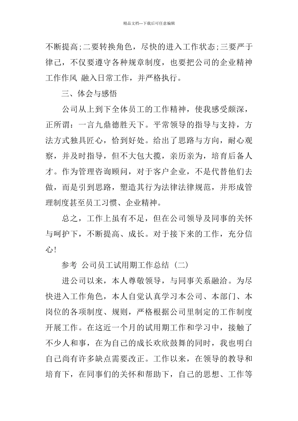 公司员工试用期工作总结五篇2024_第2页
