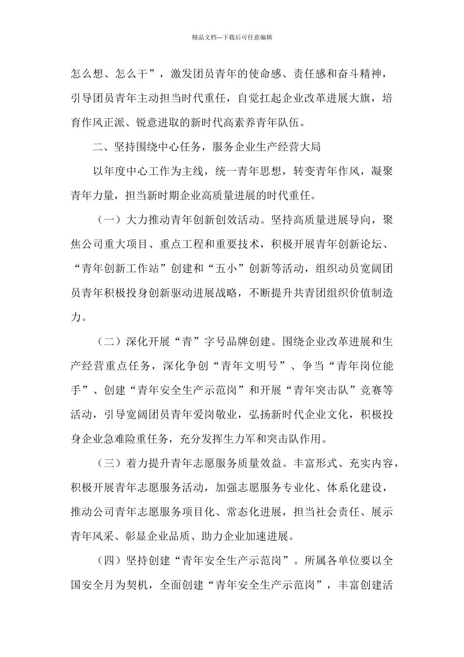 公司团委2024年工作要点_第2页