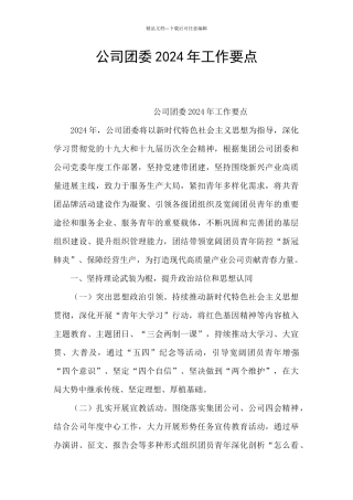 公司团委2024年工作要点