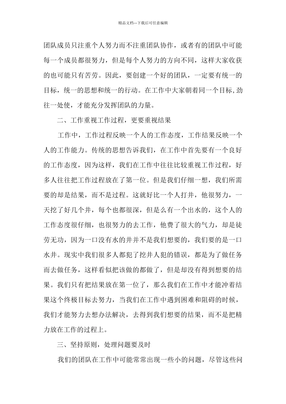 公司团队执行力心得体会_第2页