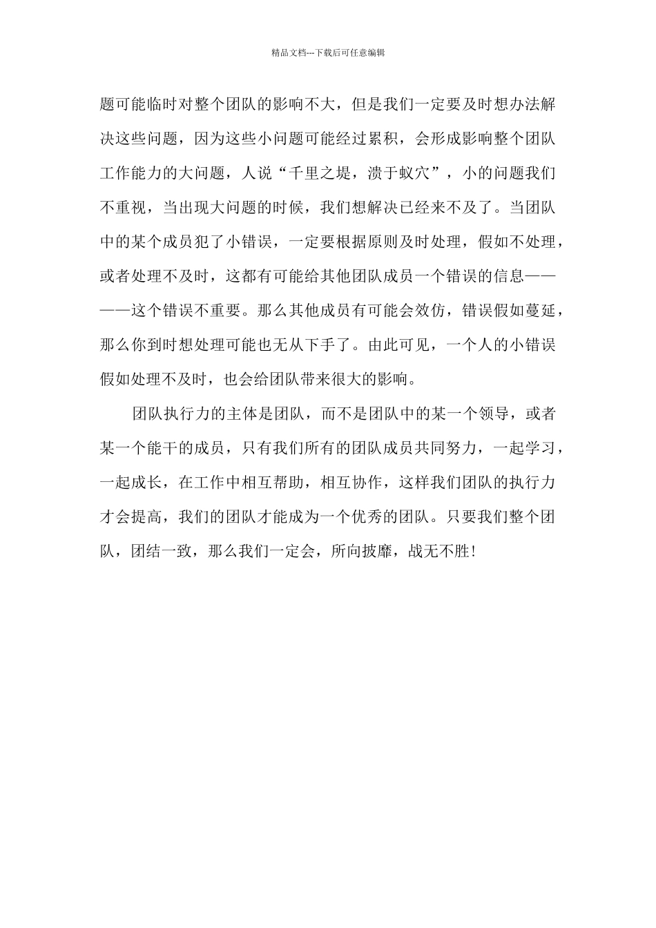 公司团队执行力心得体会_第3页