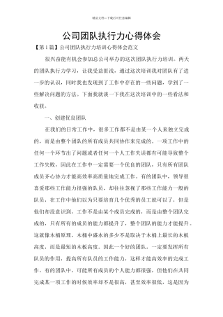 公司团队执行力心得体会