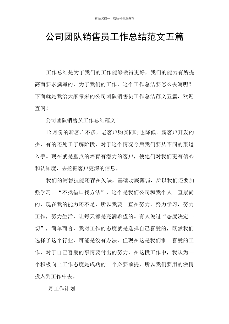 公司团队销售员工作总结范文五篇_第1页
