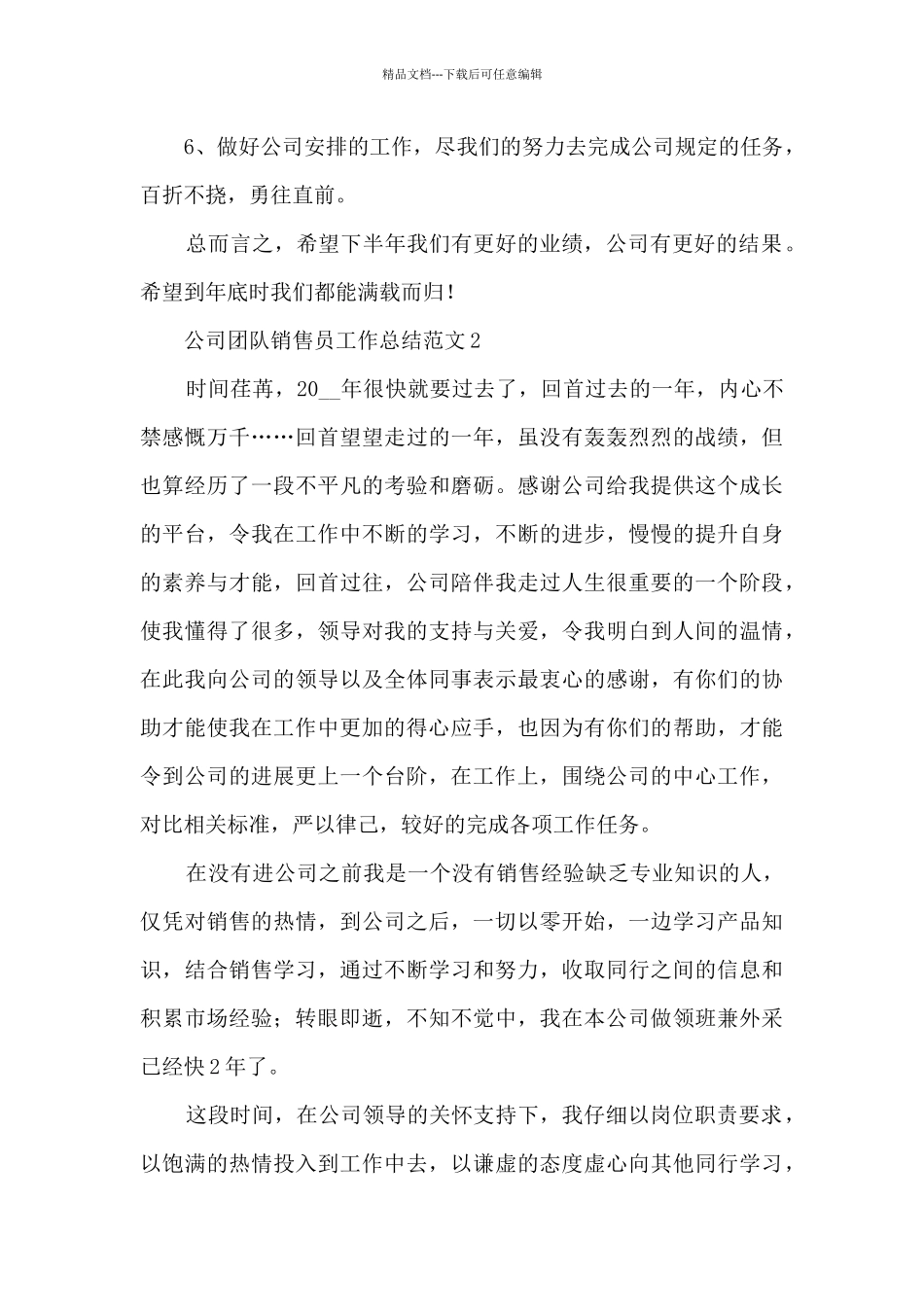 公司团队销售员工作总结范文五篇_第3页