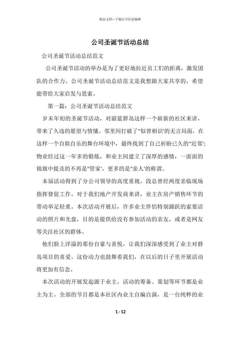 公司圣诞节活动总结_第1页