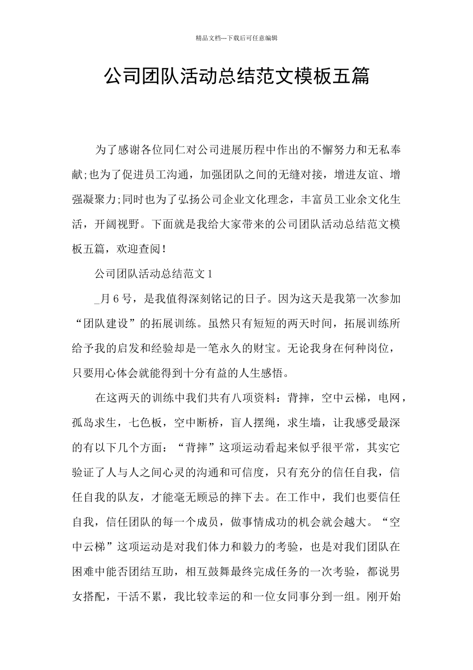 公司团队活动总结范文模板五篇_第1页