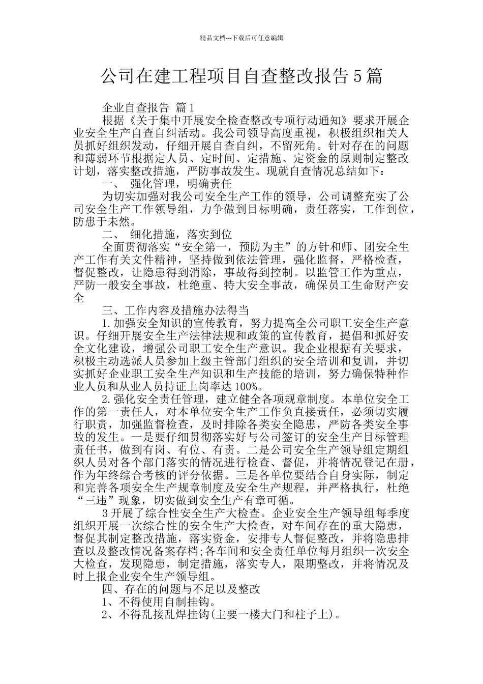 公司在建工程项目自查整改报告5篇_第1页