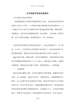 公司圣诞节活动总结报告