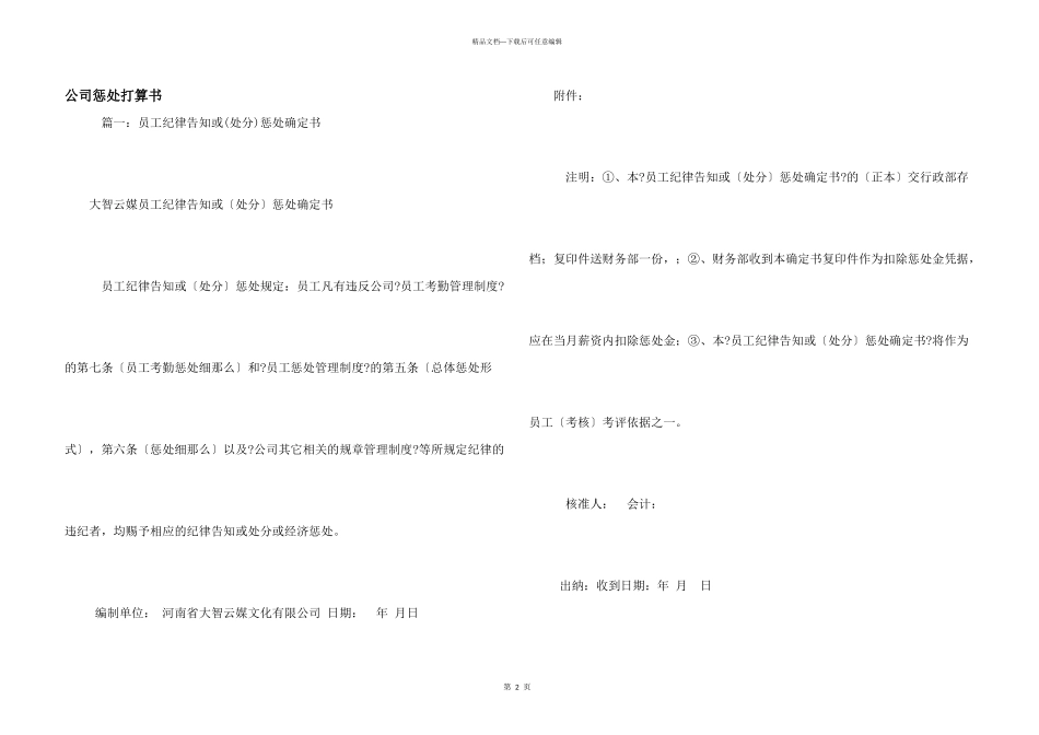 公司处罚决定书_第1页