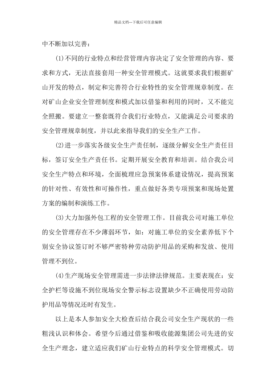 公司安全大检查心得体会范例3篇_第2页