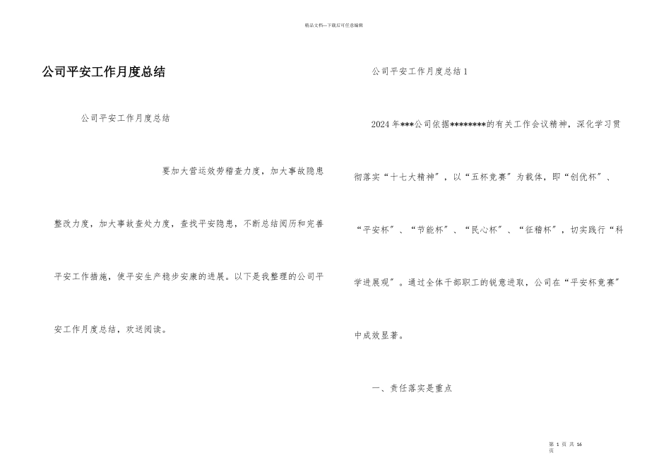 公司安全工作月度总结_第1页