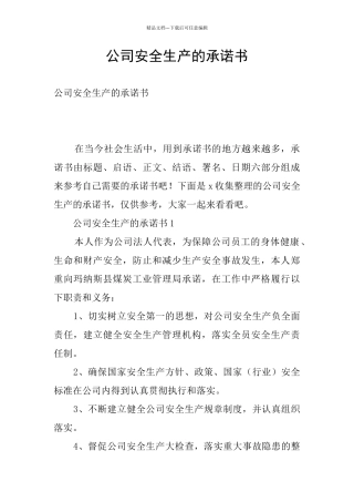 公司安全生产的承诺书
