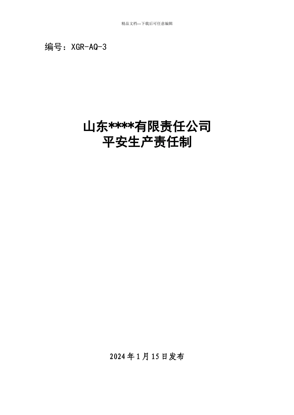 公司安全生产责任制XXXX_第1页