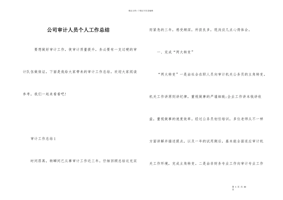 公司审计人员个人工作总结_第1页