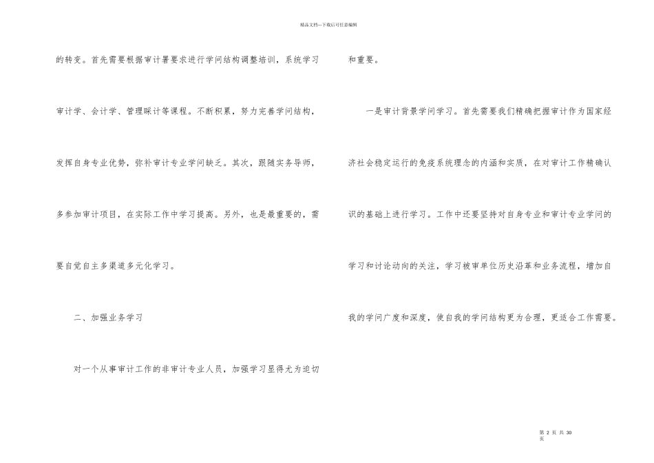 公司审计人员个人工作总结_第2页