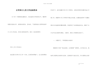 公司审计人员工作总结范本