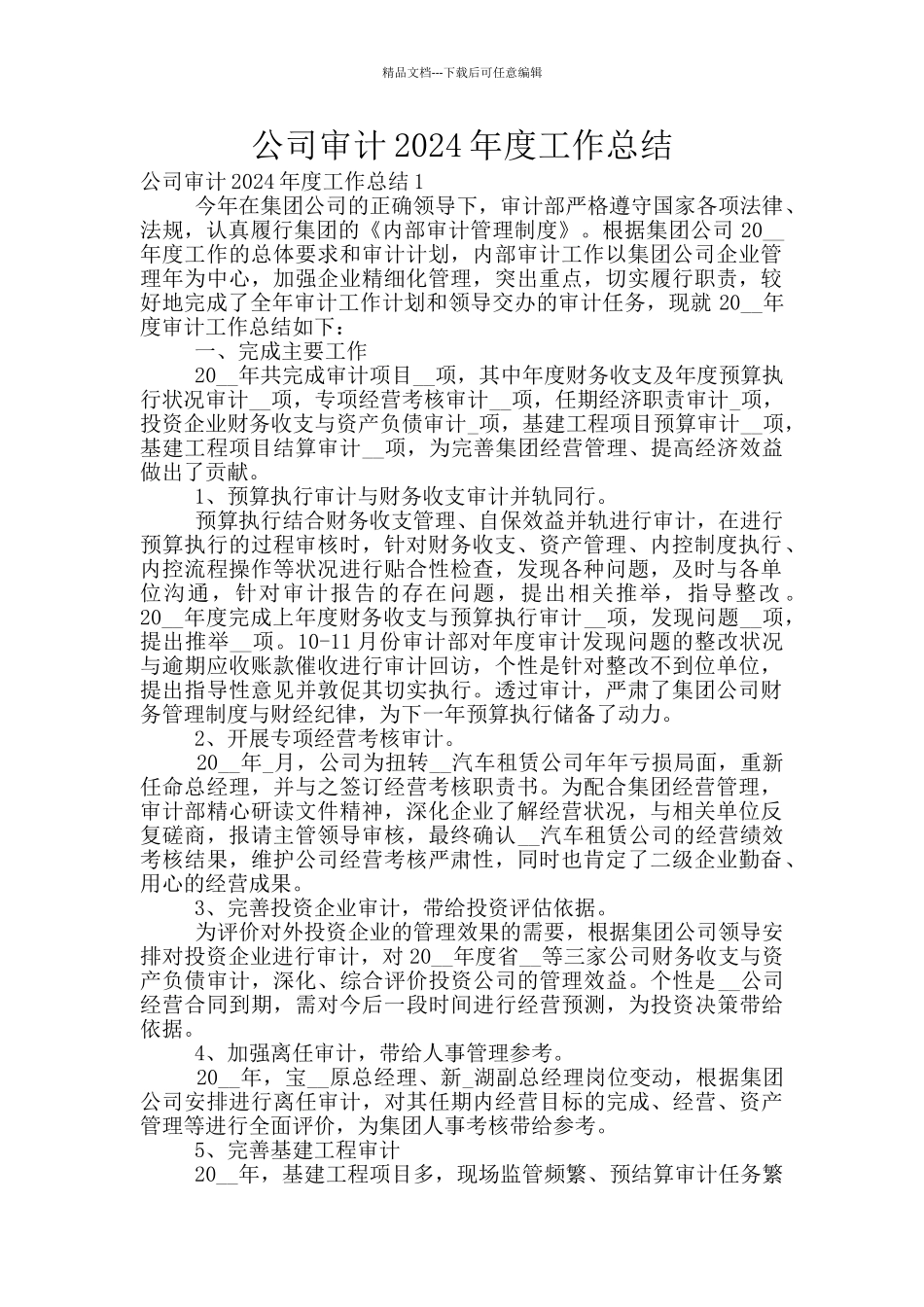 公司审计2024年度工作总结_第1页