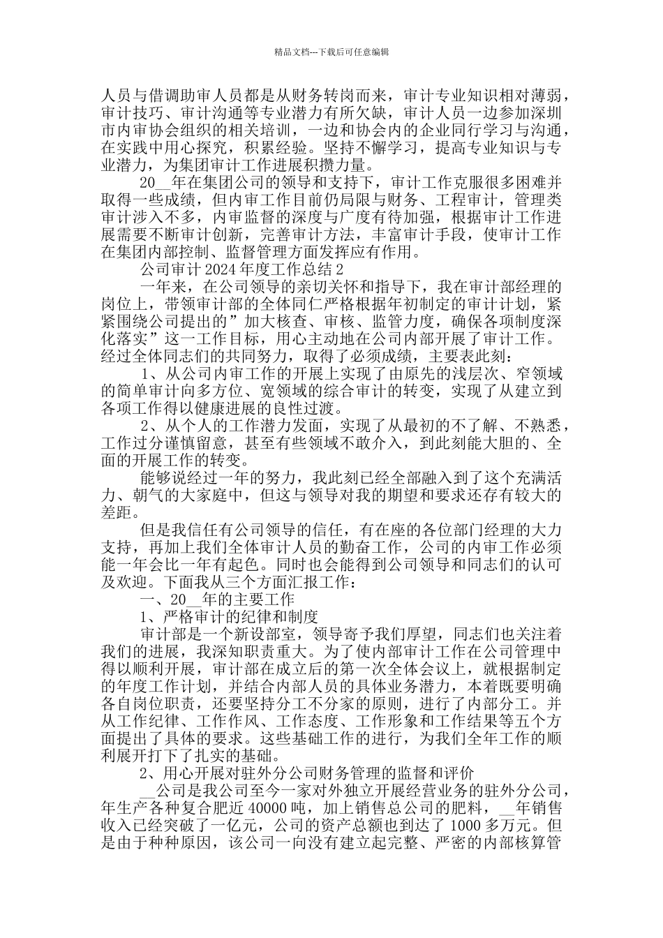 公司审计2024年度工作总结_第3页