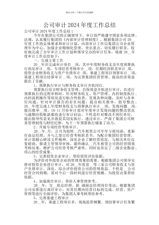公司审计2024年度工作总结