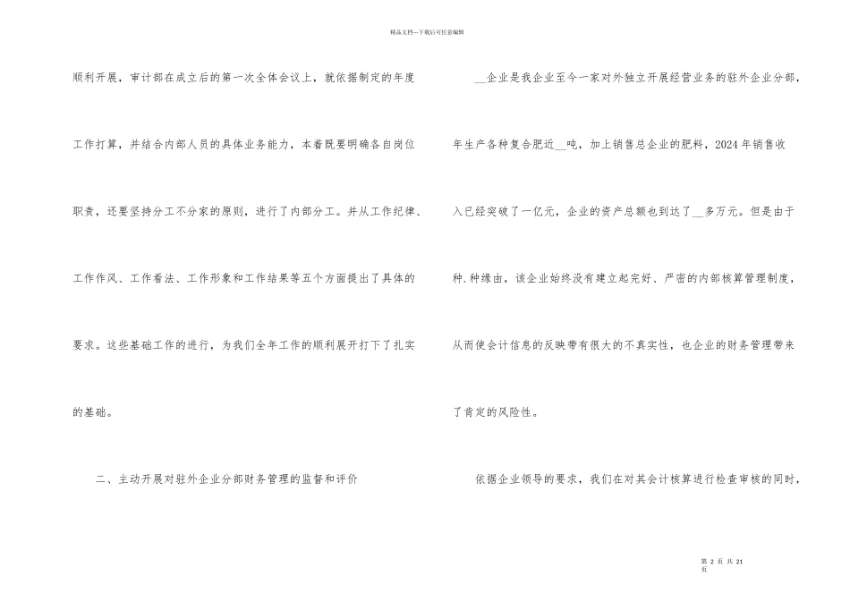 公司审计工作总结五篇_第2页